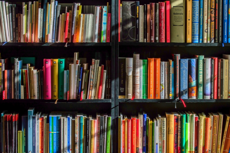 ecommerce-LE CANNET-min_books_bookstore_book_reading_shop_writer_sale_books_read-822866