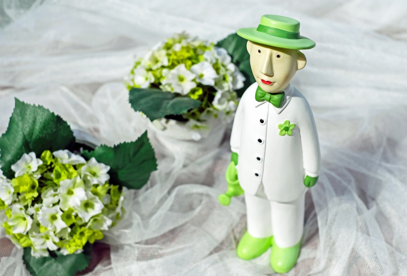 ecommerce-LE CANNET-min_man-person-flower-green-toy-fig-546529-pxhere.com